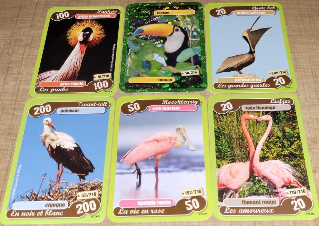 6 fotokaarten: Exotische vogels, 1980 tot heden, Ophalen of Verzenden, Zo goed als nieuw, Dier