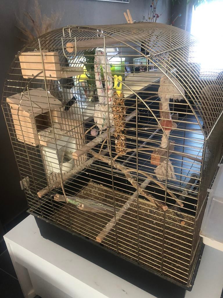 Vogelkooi, Dieren en Toebehoren, Vogels | Hokken en Kooien, Ophalen, Zo goed als nieuw, Vogelkooi