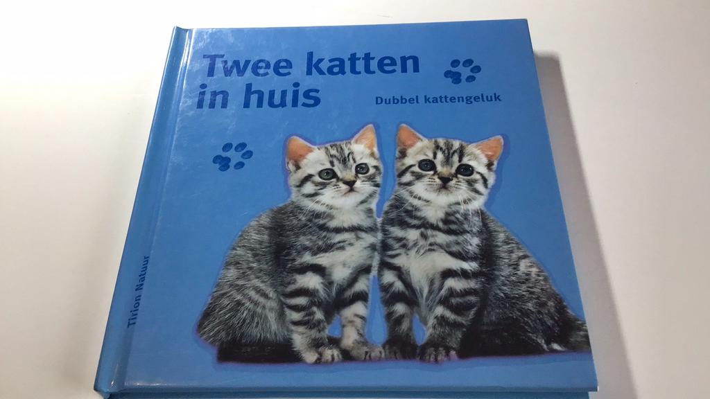 G. Ludwig - Twee katten in huis(:), Ophalen of Verzenden, Zo goed als nieuw, G. Ludwig