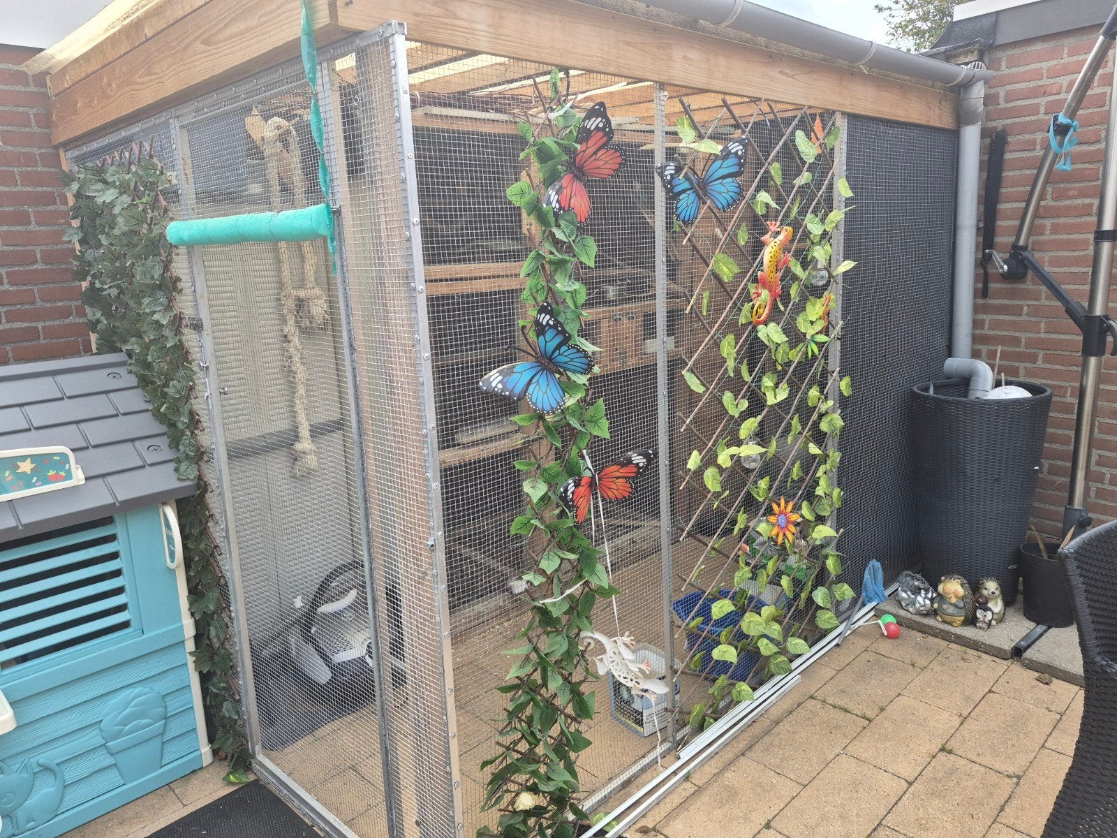 ter overname door stoppen van de hobby, Plusieurs animaux, Perroquet nain ou Inséparable, Bagué