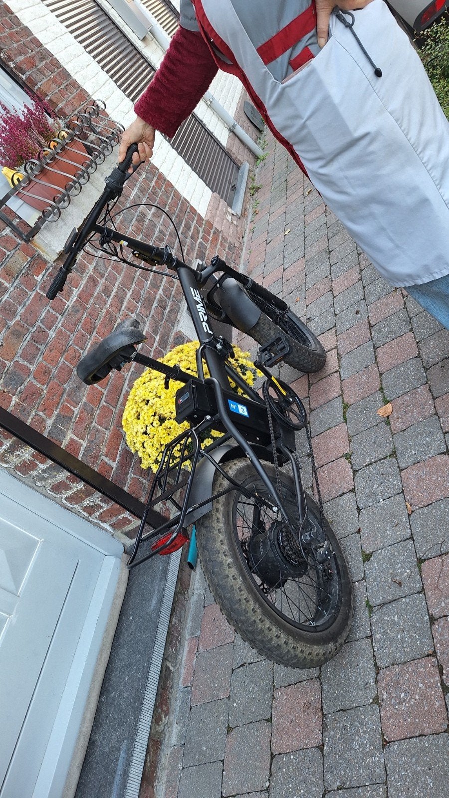 elektrische fiets, Fietsen en Brommers, Ophalen