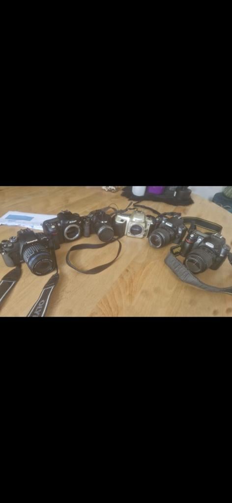7 apparaît photo 100€ les 7, Enlèvement ou Envoi, Minolta