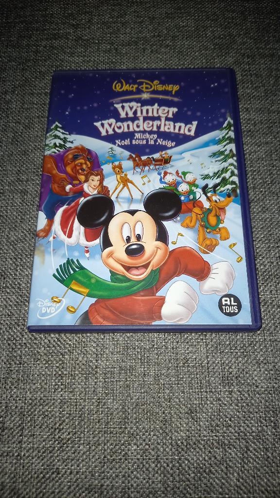DVD Winter Wonderland, Enlèvement ou Envoi, Utilisé