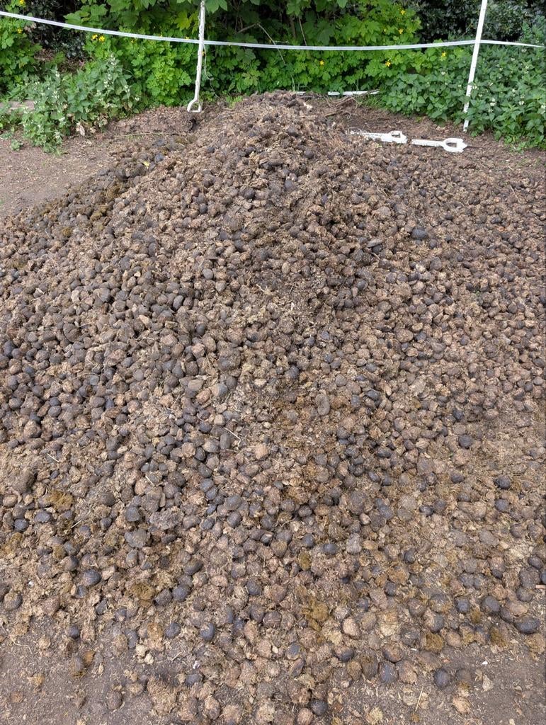 Gratis paardenmest, Tuin en Terras, Ophalen, Mest