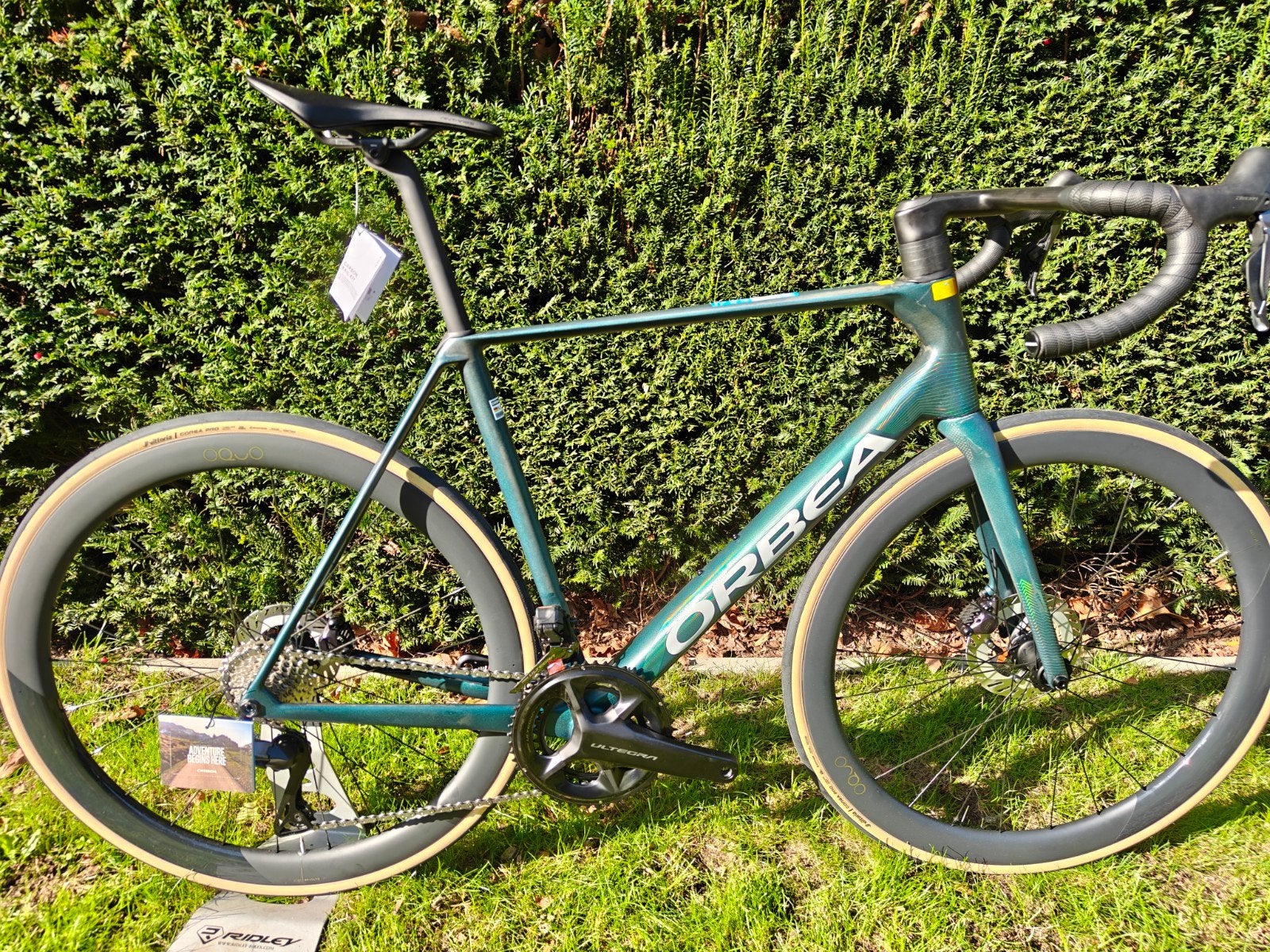 Orbea orca m20i ltd pwr 2026, 53 tot 57 cm, Ophalen, Carbon