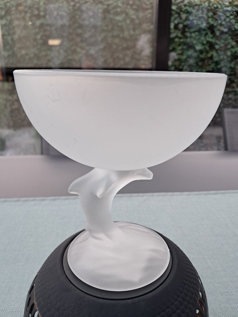te koop : 6 nieuwe glazen ijscoupes, Overige typen, Ophalen, Nieuw, Glas