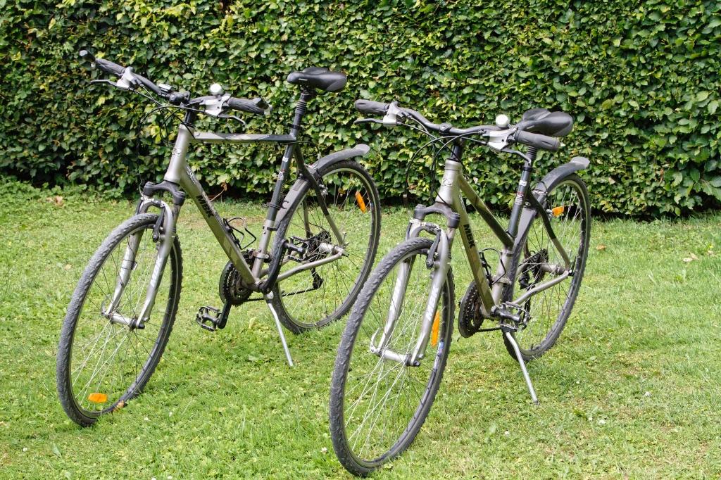 Vélo VTC Siamois !, Enlèvement, Utilisé