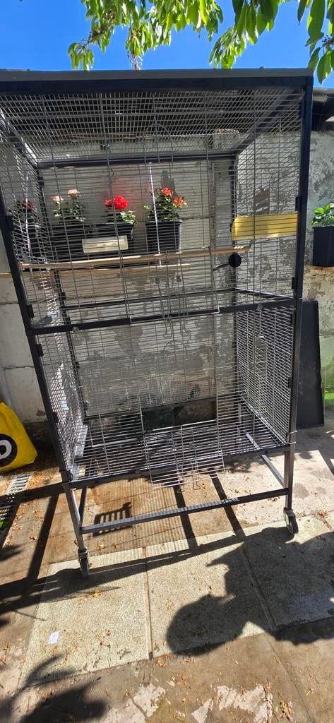 Vogel kooi, Dieren en Toebehoren, Ophalen