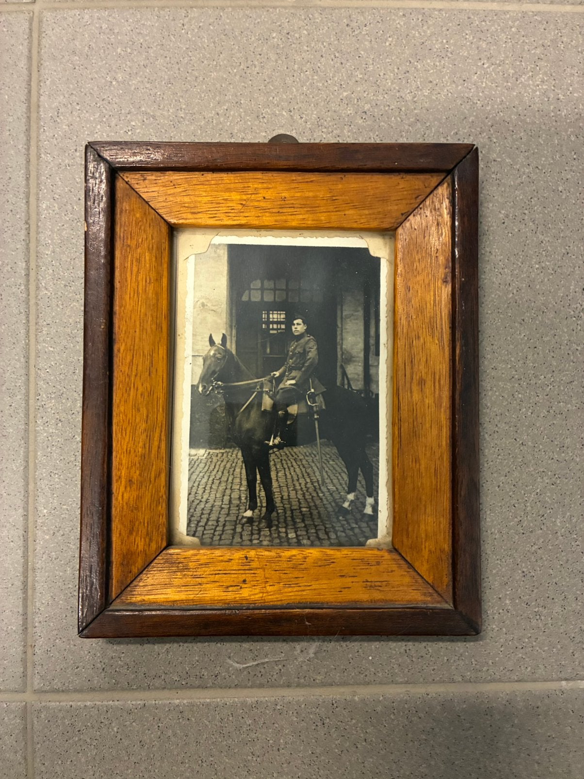 Kleine foto met kader belgisch met paard, Antiek en Kunst, Ophalen of Verzenden