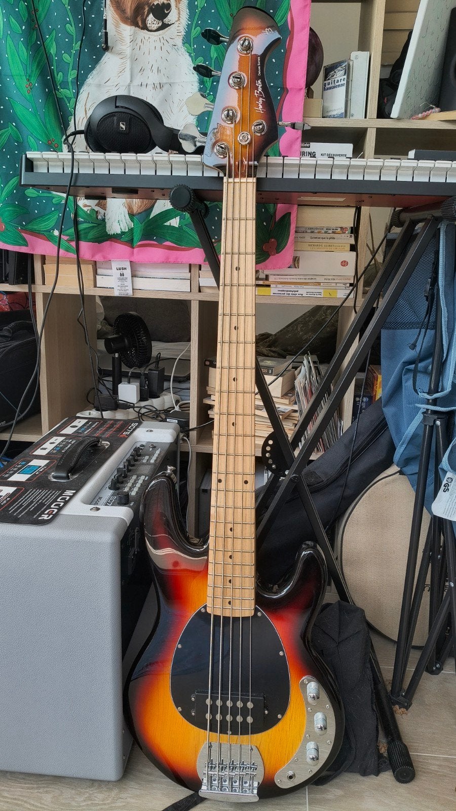 Harley Benton MB-5, Muziek en Instrumenten, Snaarinstrumenten | Gitaren | Bas, Ophalen, Gebruikt, Elektrisch, 5-snarig