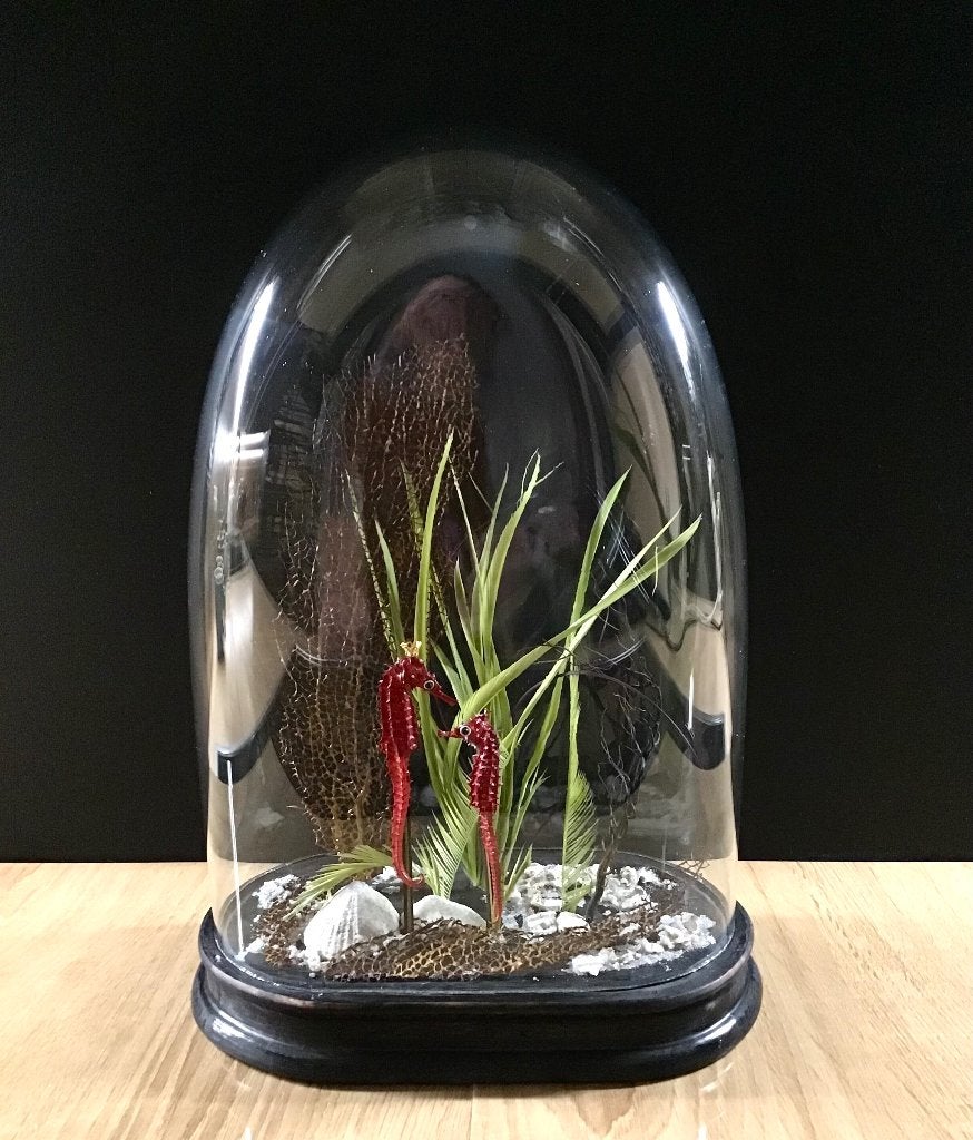 Antieke stolp met onderwaterdiorama, Antiek en Kunst, Ophalen