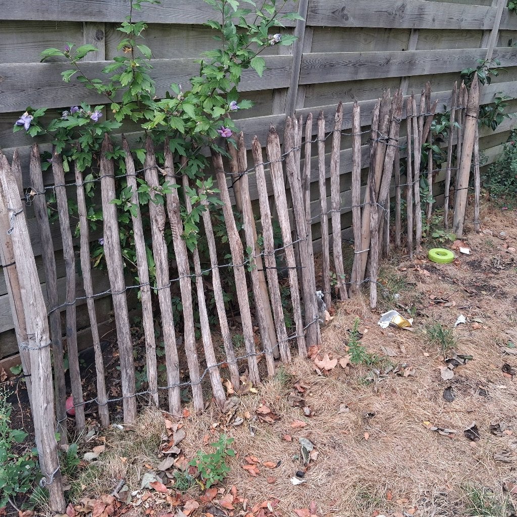 Schapenafsluiting hout 5 m, Ophalen, Gebruikt, 300 cm of meer