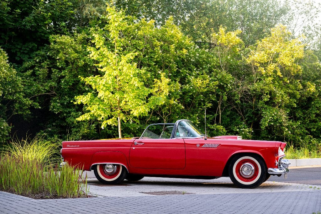 Ford Thunderbird 1955 | A Restaurer, Autos, Autres modèles, Entreprise, Sièges électriques, Essence