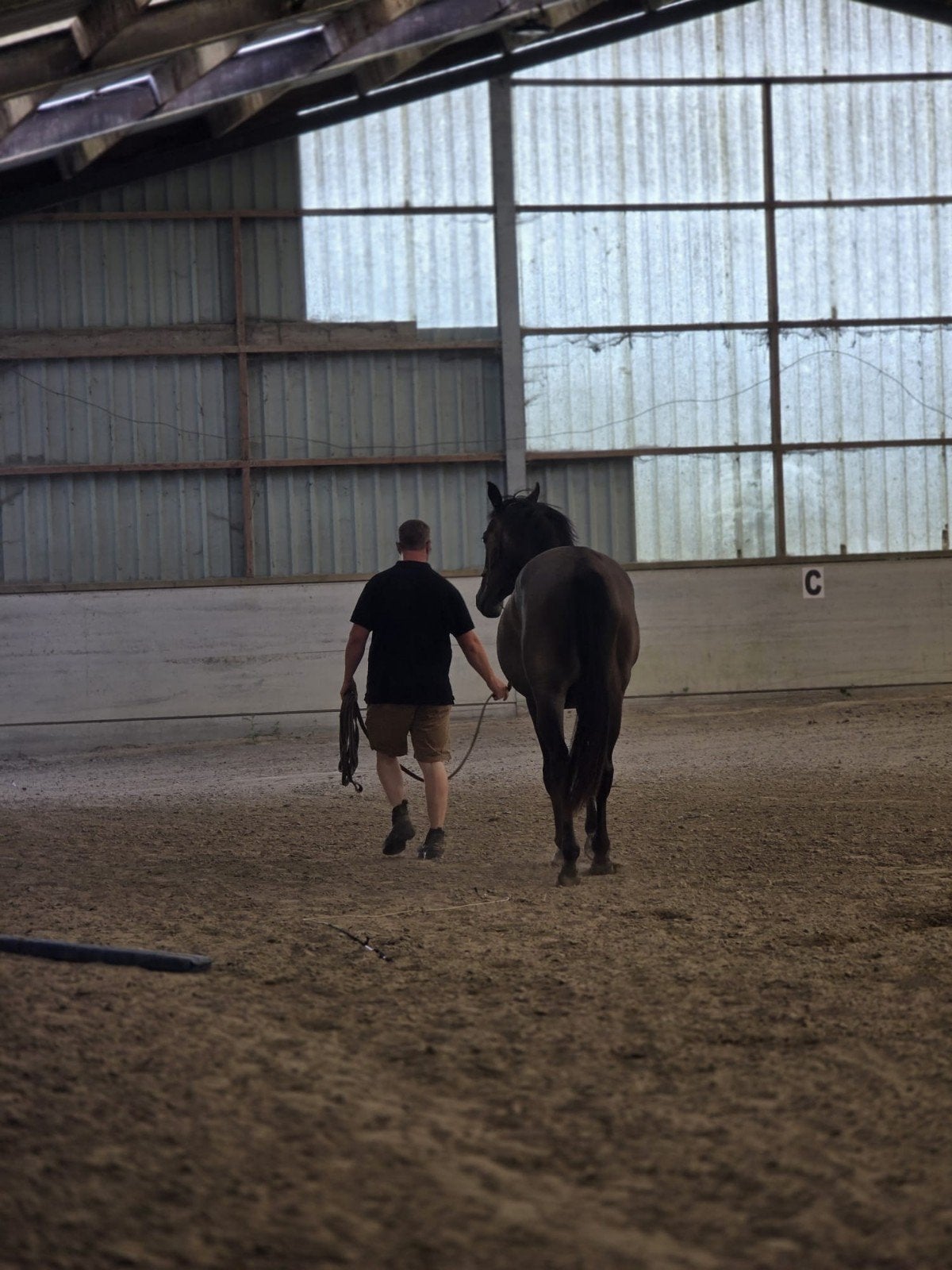 Zadelmak maken en doorrijden paarden, Dieren en Toebehoren, Zadelmak