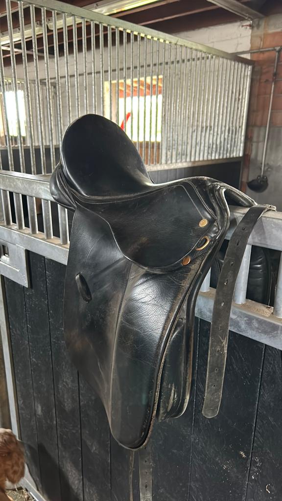 Dressuur zadel voor pony 16 inch, Dieren en Toebehoren, Paarden en Pony's | Zadels, Ophalen, Gebruikt, Dressuur