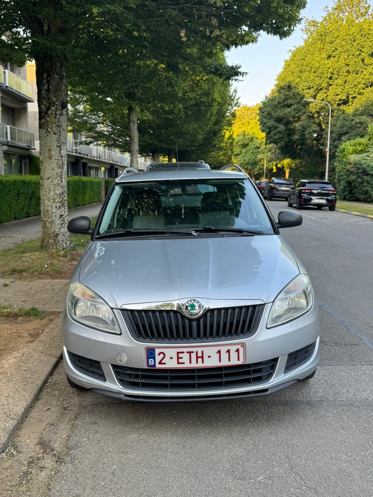 Skoda Fabia 1.2, Argent ou Gris, Achat, Apple Carplay, Boîte manuelle