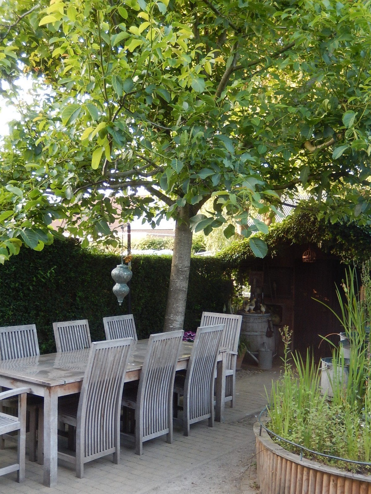tuinset 8 stoelen, Ophalen, Gebruikt, Teakhout, 8 zitplaatsen