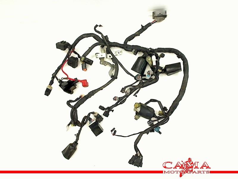 KABELBOOM Yamaha XJ 6 2009-2012 (XJ6 XJ6S XJ6N Diversion), Dhr. S. di Majo, Gebruikt, Info@cama-motorparts.nl, P.J. Troelstraweg 8 8
3144 CX  MAASSLUIS, NL