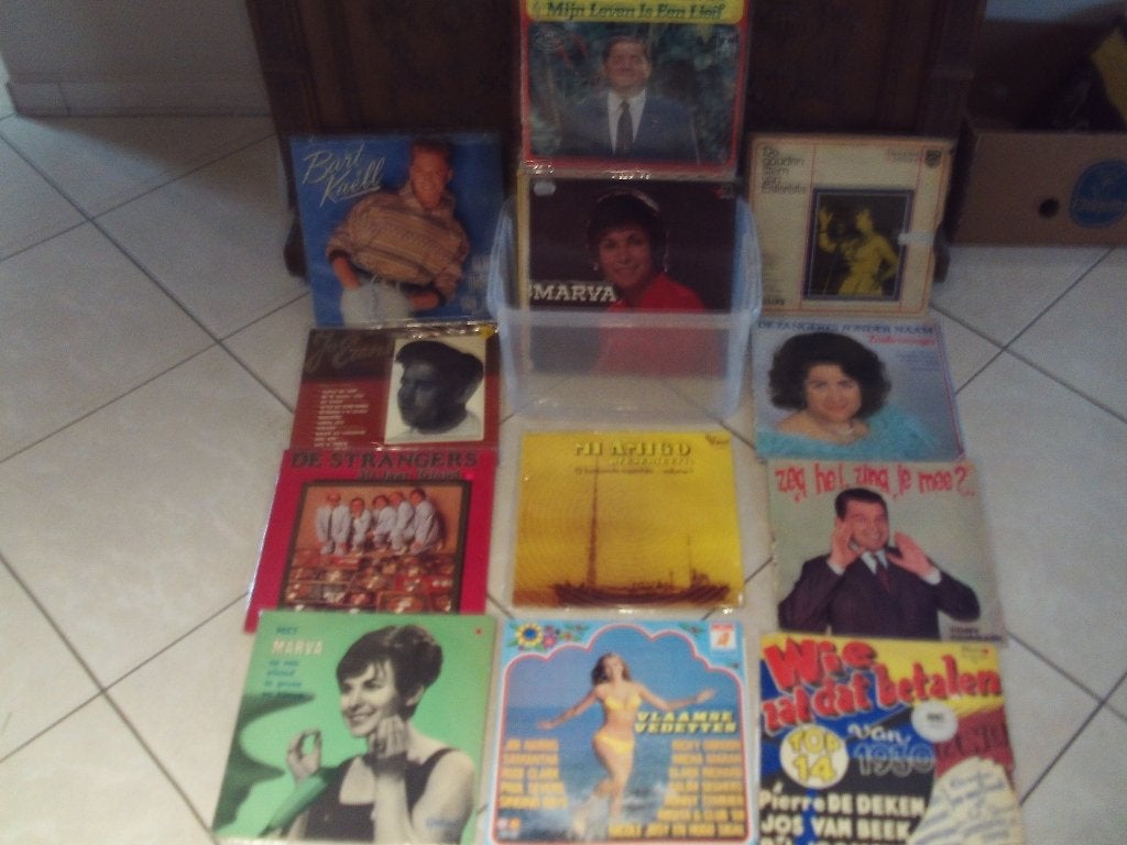 28 Nederlandstalige LPs, Ophalen of Verzenden, Zo goed als nieuw, LP