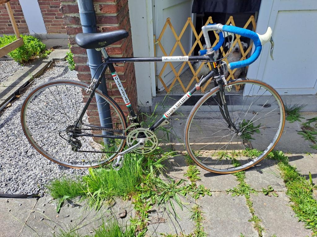 Vélo de course vintage Gios Torino - Taille 57.5, Autres marques, 57 à 61 cm, Acier, Enlèvement
