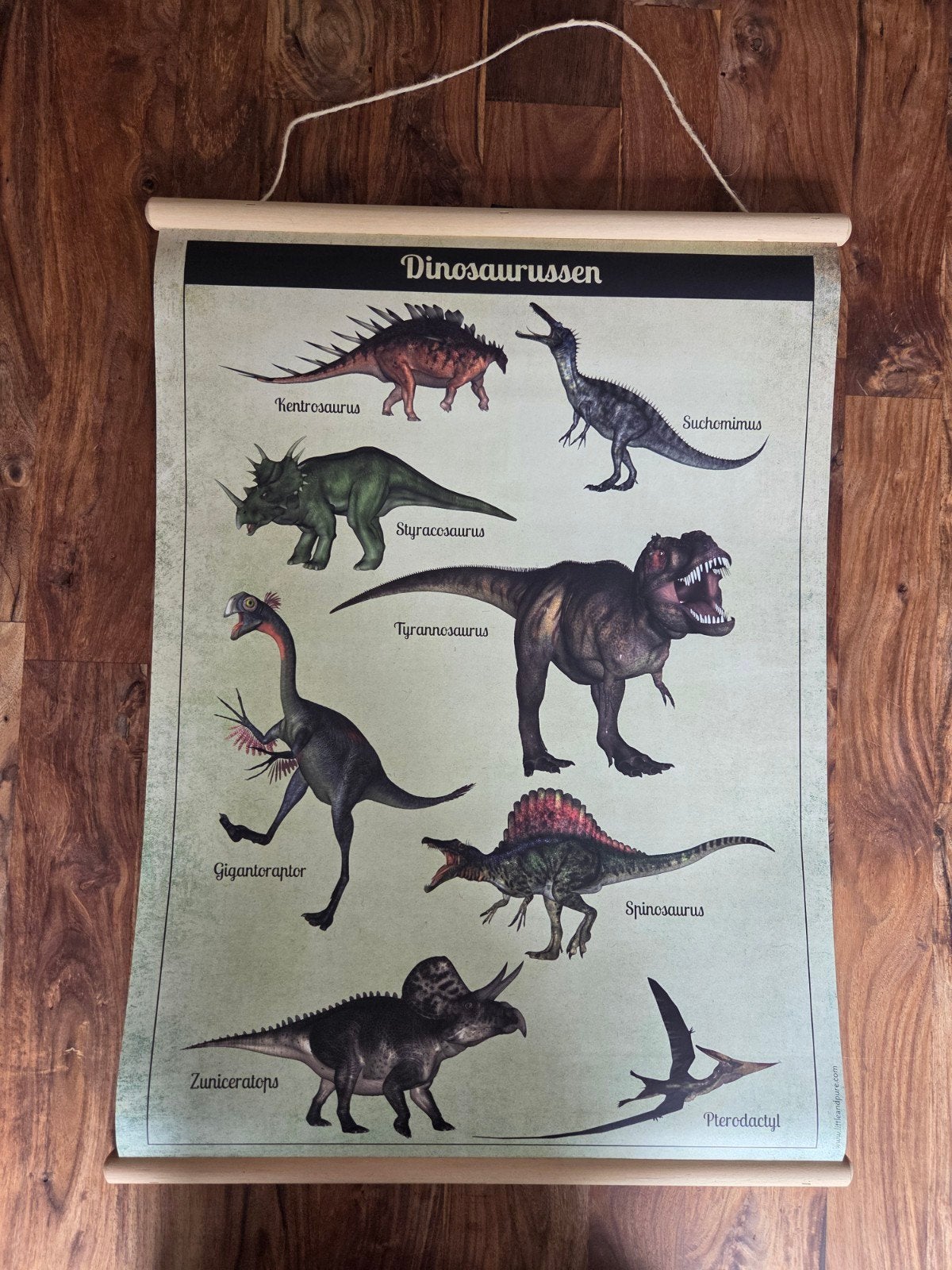 Dubbelzijdige vintage schoolplaat / poster Dinosaurussen (Li, Ophalen of Verzenden, Zo goed als nieuw, Dier of Natuur