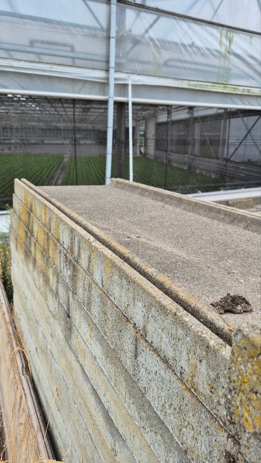 betonpaden-elementen, Tuin en Terras, Tegels en Klinkers, Ophalen