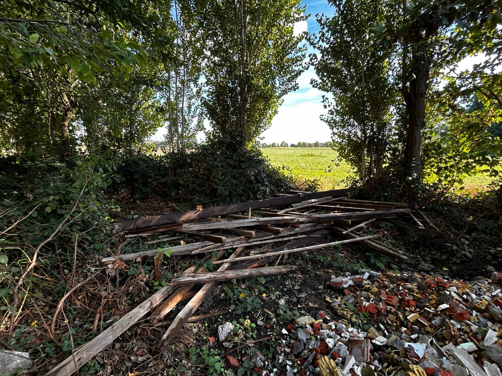 Gratis brandhout, op te halen, Enlèvement