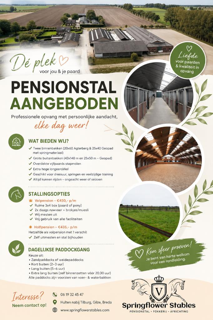 pensionstalling vrij / stalling aangeboden nabij Tilburg, Mise à l'étable, 4 chevaux ou poneys ou plus
