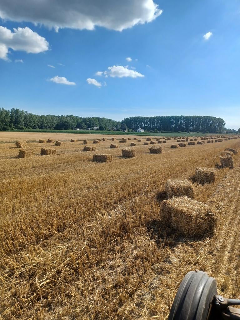 Kleine balen stro 2025, Ophalen