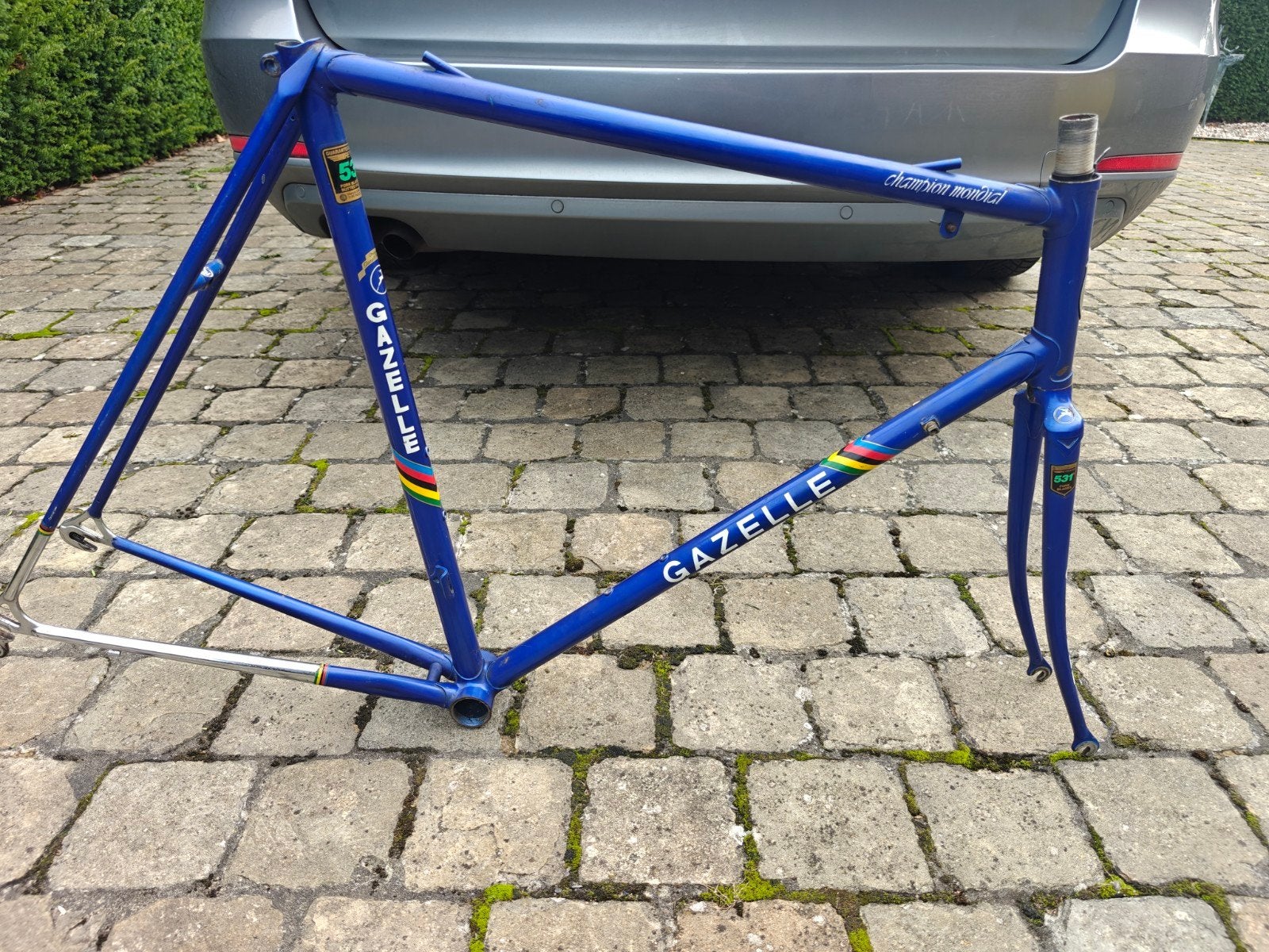retro stalen gazelle champion mondial koersframe maat 59, Ophalen