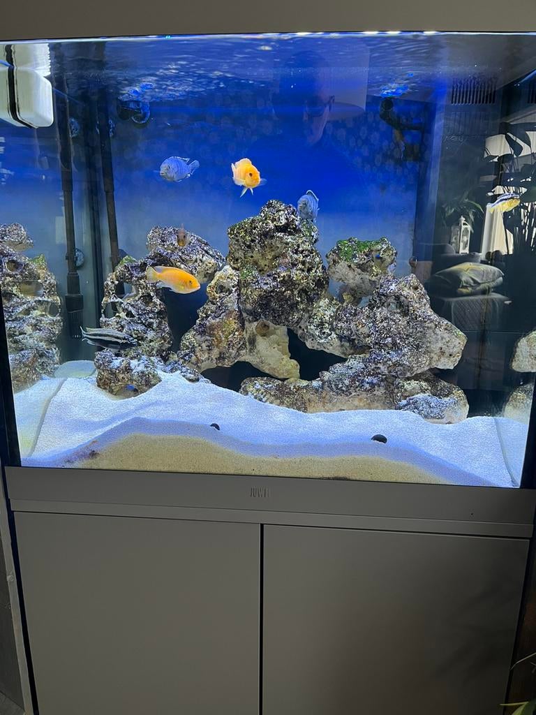 Aquarium lido200, Ophalen, Zo goed als nieuw