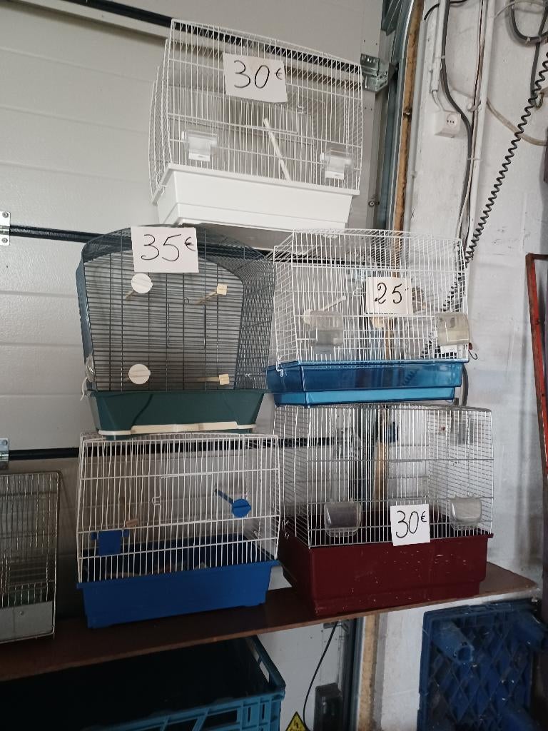 A vendre plusieurs cages à moitié prix, Ophalen, Zo goed als nieuw, Metaal, Vogelkooi