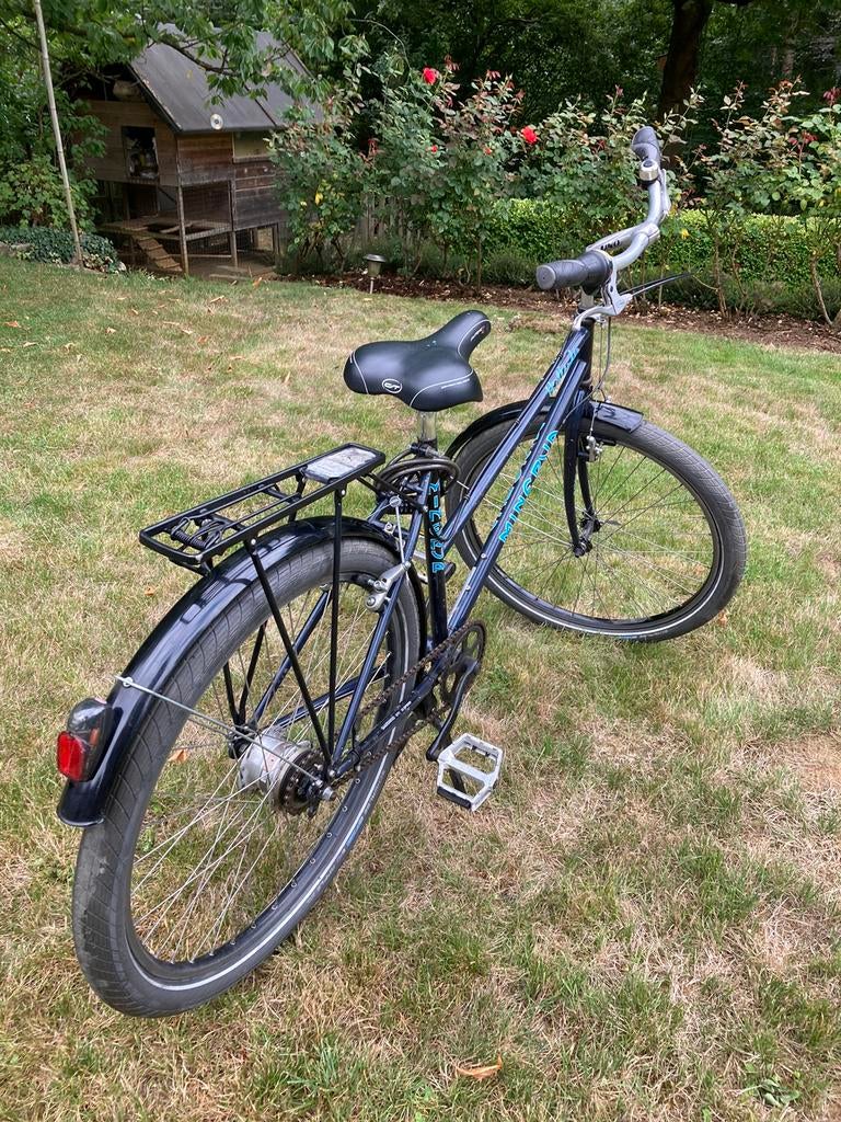 Vintage gepimpte damesfiets, Ophalen, Zo goed als nieuw, Overige merken