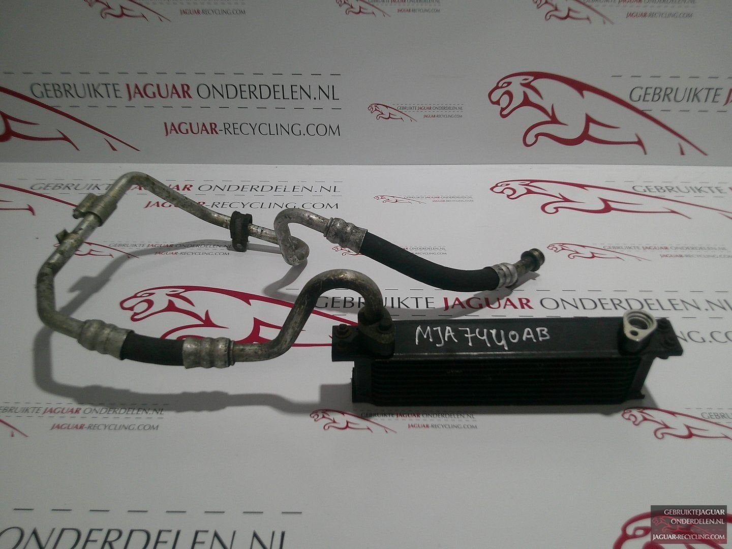 Olie koeler met slang rechts Jaguar XK8 / XKR MJA7440AB, Gebruikt, -, Ophalen of Verzenden, Jaguar