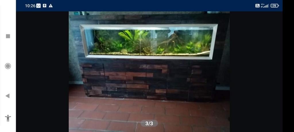 Terrarium 240m