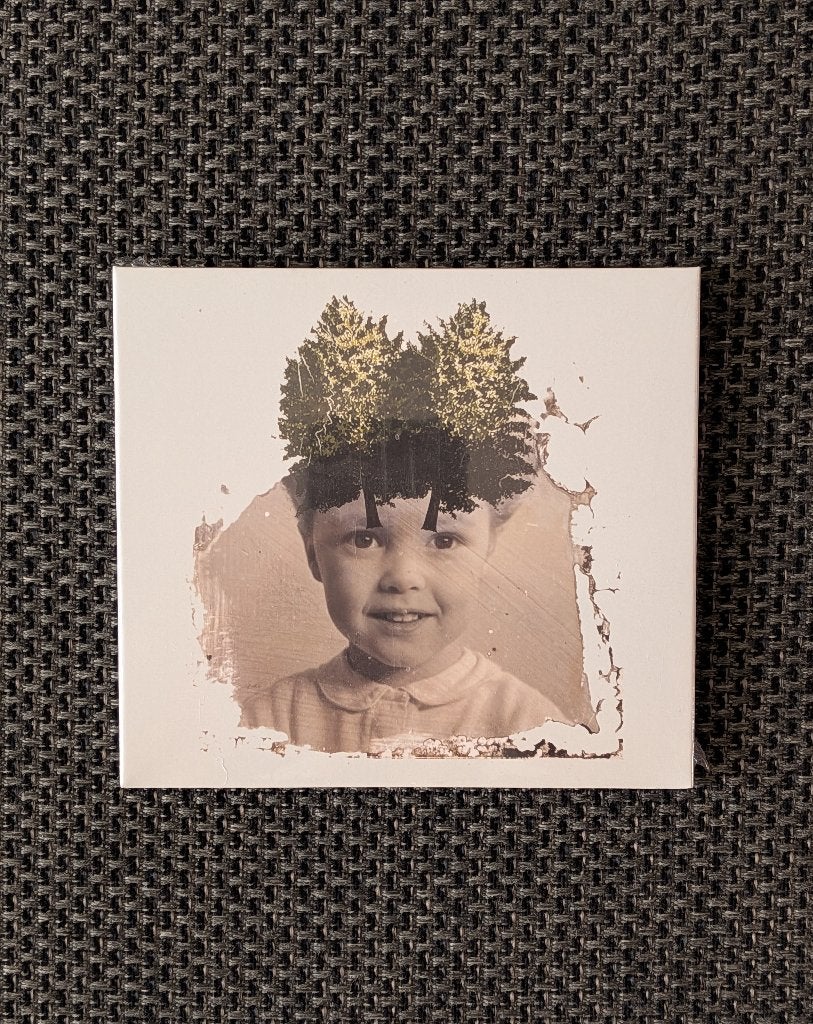 CD: The Stargazer's Assistant: Modular fields (Zoharum), Ophalen of Verzenden, Digipak, Nieuw in verpakking, Album