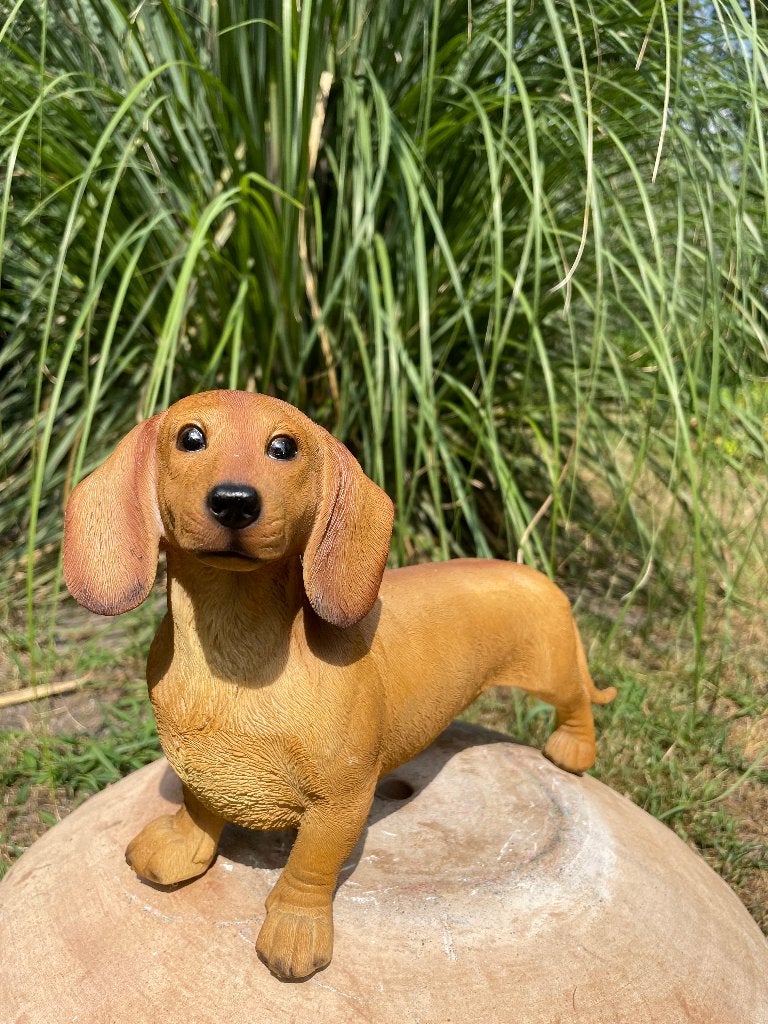 Image : teckel, Teckel, marron debout, jardin, cadeau 30 cm, Jardin & Terrasse, Statues de jardin, Neuf, Animal, Synthétique, Enlèvement ou Envoi