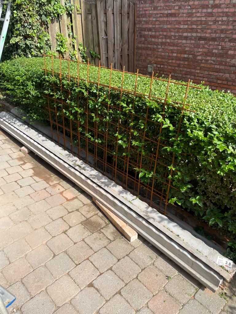 4x Rector T-balk B113 – 3,80 m – potten en balken vloer, Doe-het-zelf en Bouw, Ophalen, Nieuw