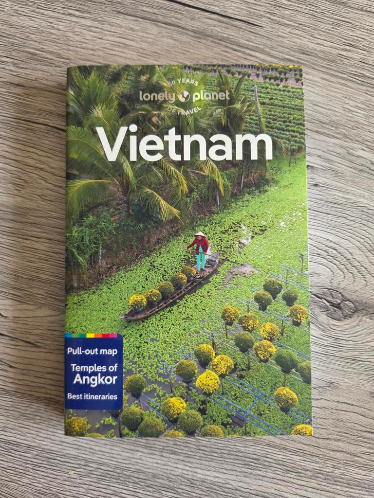 Guide de voyage Lonely Planet Vietnam, Livres, Enlèvement ou Envoi, Lonely Planet