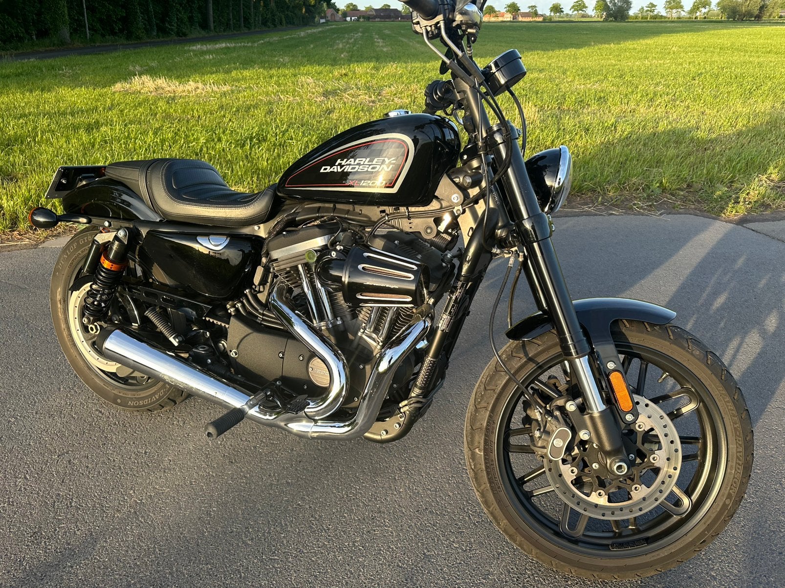 Belle star sportive HD XL1200R, Particulier