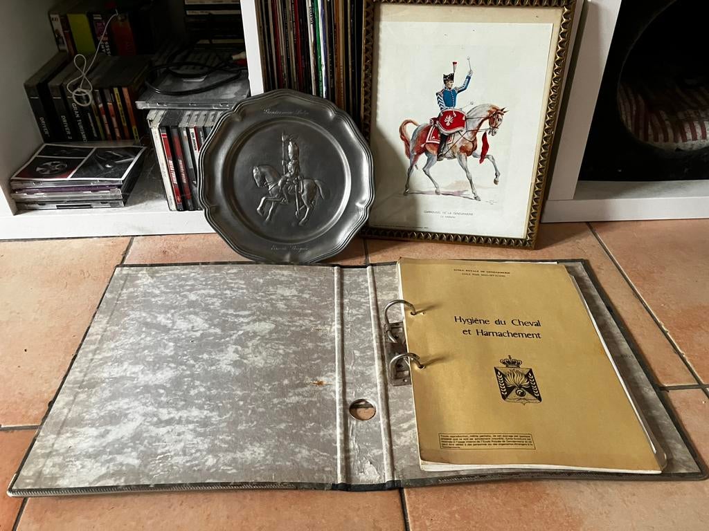 Set parcoursen + decoraties Rijkswacht te paard, Ophalen of Verzenden, Rijkswacht
