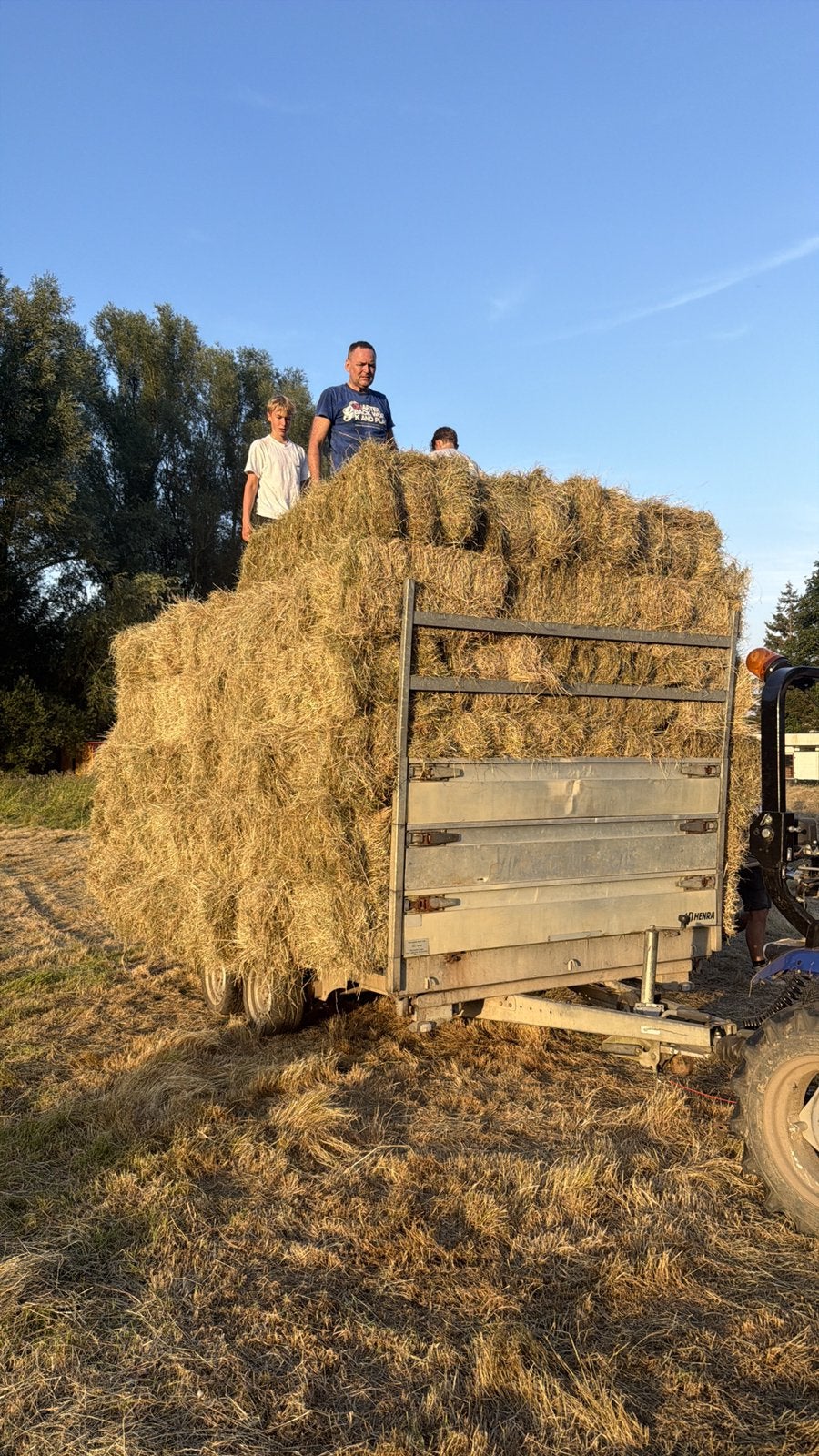 Hooi te koop - Kleine Balen, Dieren en Toebehoren, Ophalen