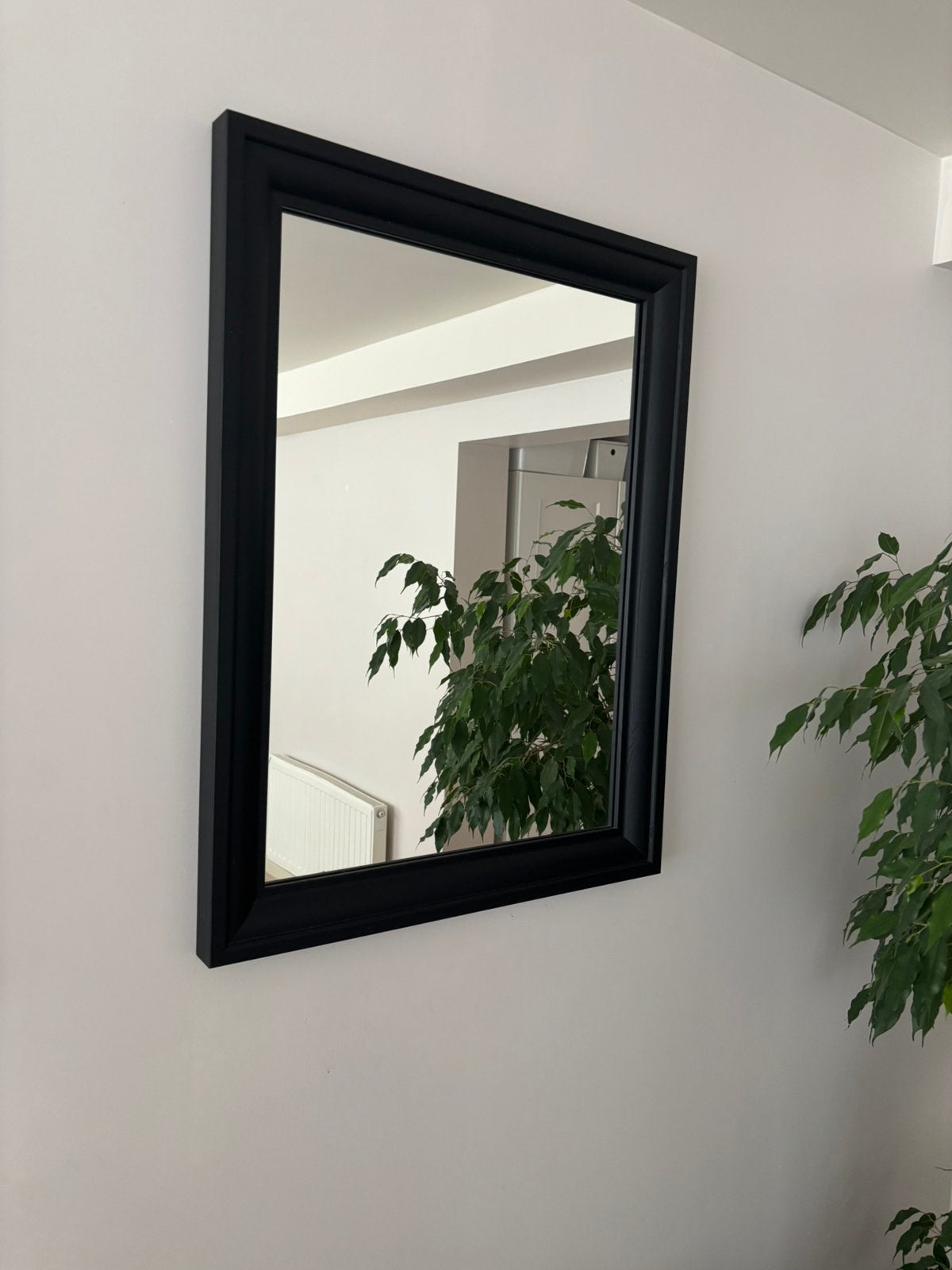 Miroir tres bonne etat 60 sur 90, Enlèvement, Comme neuf
