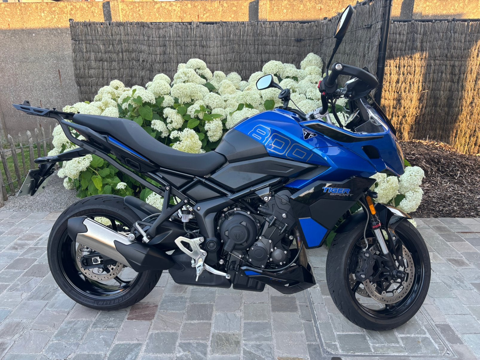 Tiger sport 800, Motoren, Motoren | Triumph, Handvatverwarming, Motorrijbewijs A, 3 cilinders, Meer dan 35 kW