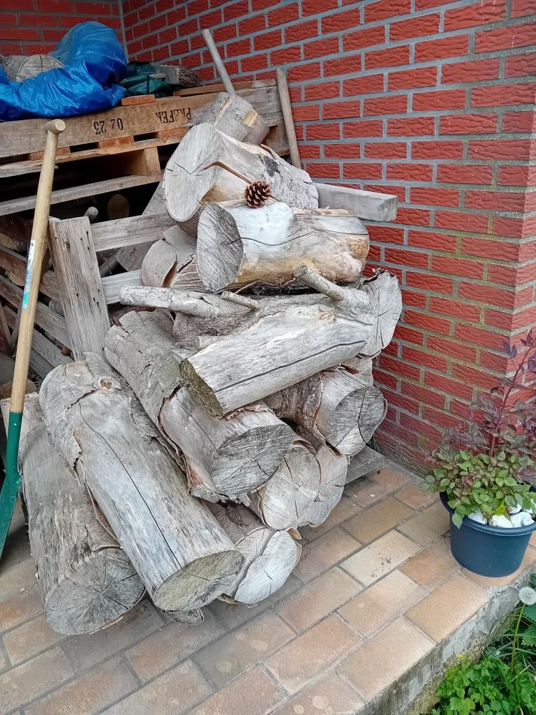 Gratuit bois de chauffage plus palettes