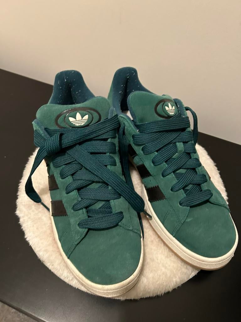 Adidas campus, Autres couleurs, Enlèvement, Porté, Baskets