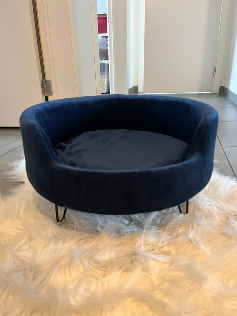Donkerblauw zeteltje, Ophalen, Nieuw