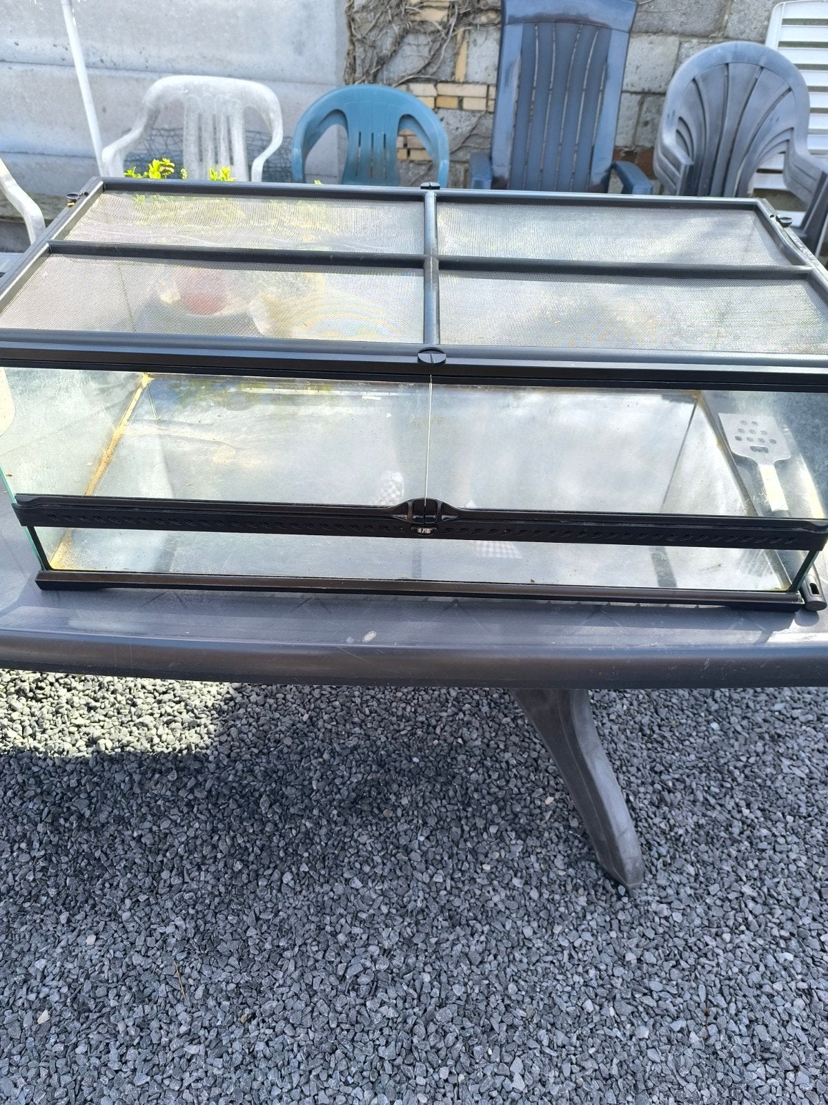 terrarium, Animaux & Accessoires, Enlèvement
