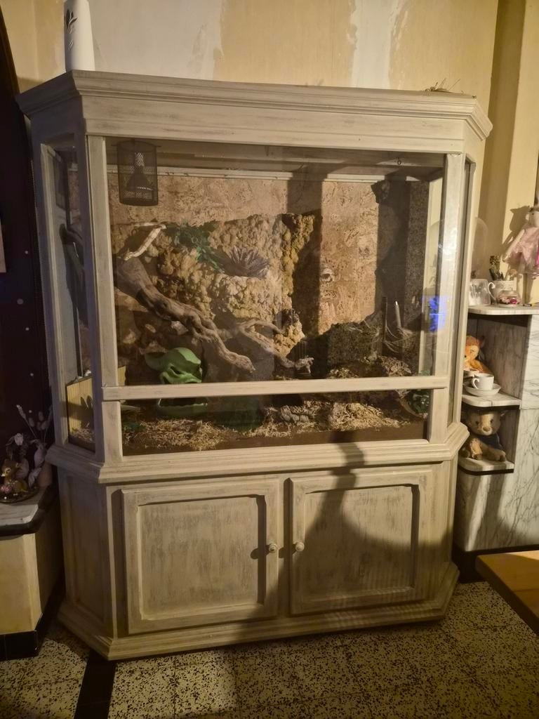 Terrarium 165x190x70, Dieren en Toebehoren, Reptielen en Amfibieën | Toebehoren, Gebruikt, Terrarium of Paludarium, Ophalen