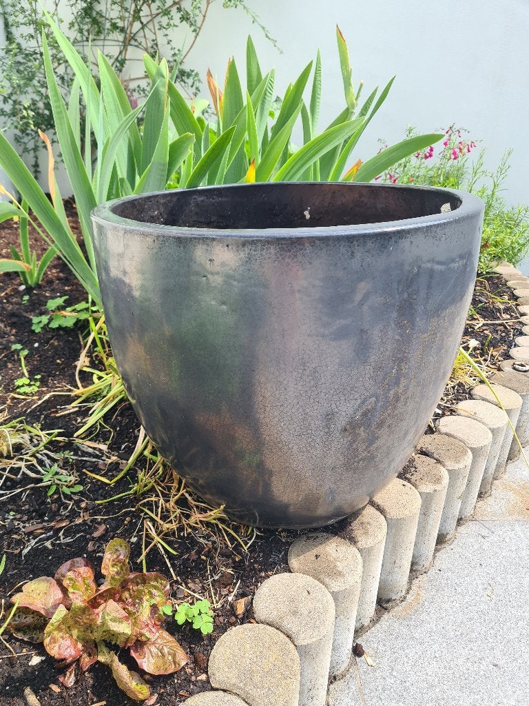 Pots de fleurs 50cm, 40 cm ou plus, 40 à 70 cm, Enlèvement, Utilisé